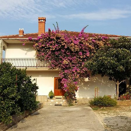 Apartmán Apartman Dukic Trogir Exteriér fotografie